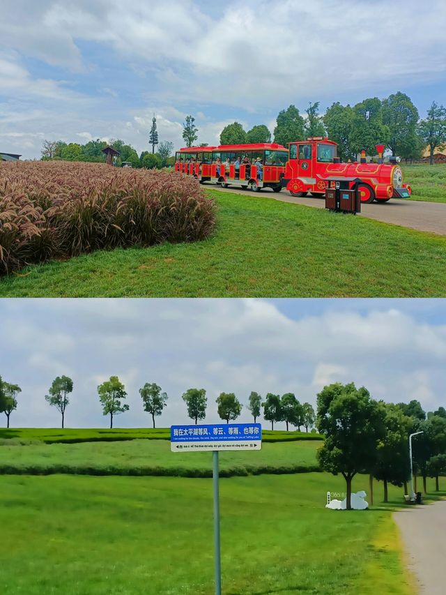 雲南彌勒|除了麗江大理，一定不要錯過這裡