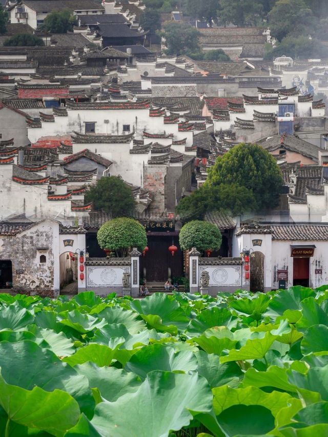 衢州江山，一個被嚴重低估的寶藏旅遊去處