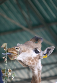 秦皇島野生動物園超全攻略~