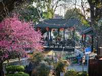 Shanghai's undiscovered watertown