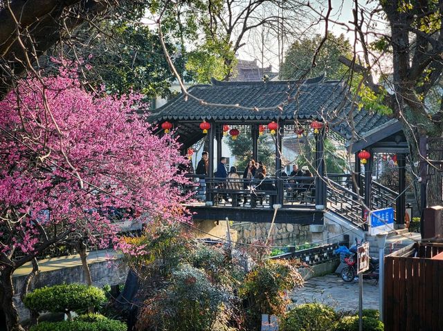 Shanghai's undiscovered watertown