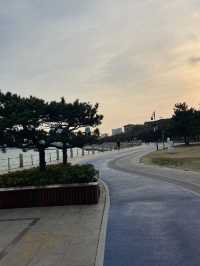 夏日遊玩｜海邊的濕地公園，徒步納涼都不錯
