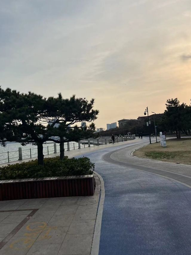 夏日遊玩｜海邊的濕地公園，徒步納涼都不錯
