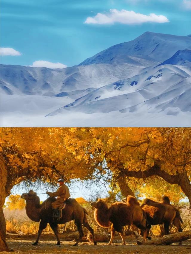 南北疆環線27日遊