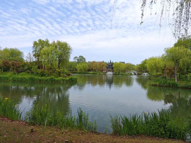 東台天仙緣—西溪景區