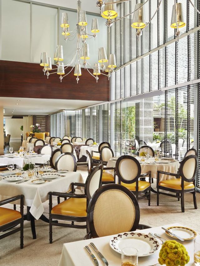 🛎️✨ Caracas Charm: Top Hotel Picks for Your Stay! ✨🛎️