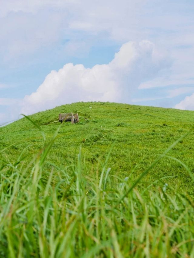 關西小眾海岸｜夏日暑期限定花火一日遊攻略