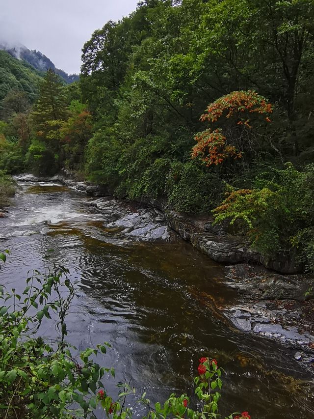 夢幻山水黃柏塬