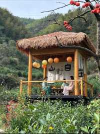 黃山腳下最具設計感的獨棟Villa世外桃源