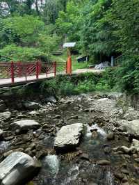 西安 | 逃離城市高溫，一頭栽進25度的秦嶺