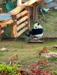 沈陽森林動物園