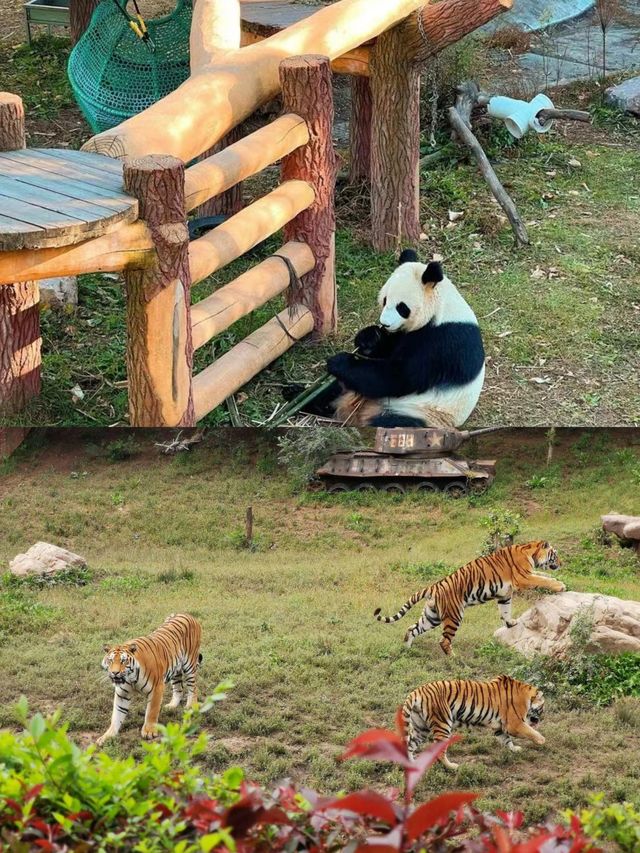 沈陽森林動物園