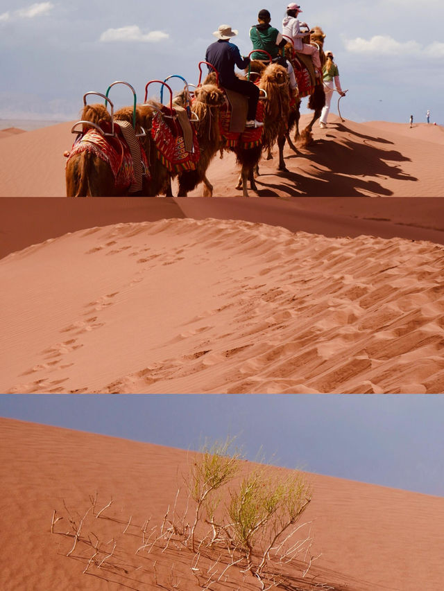 阿克蘇紅沙漠之旅，邂逅沙漠中的夢幻仙境