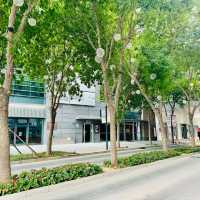 Shine Hills: Fun, Food, Films, All Day!
