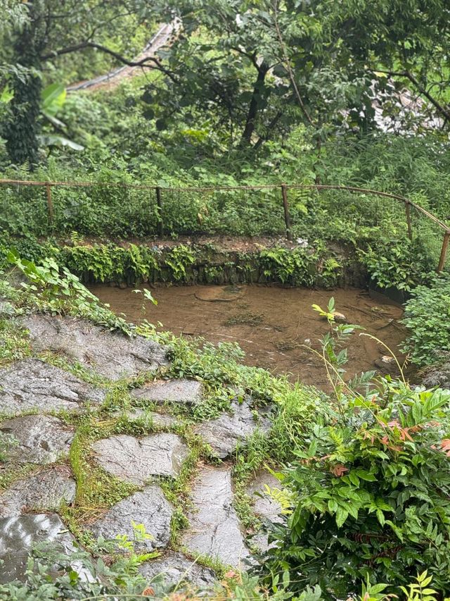 發呆釋放壓力好去處~柳州融水高山民宿