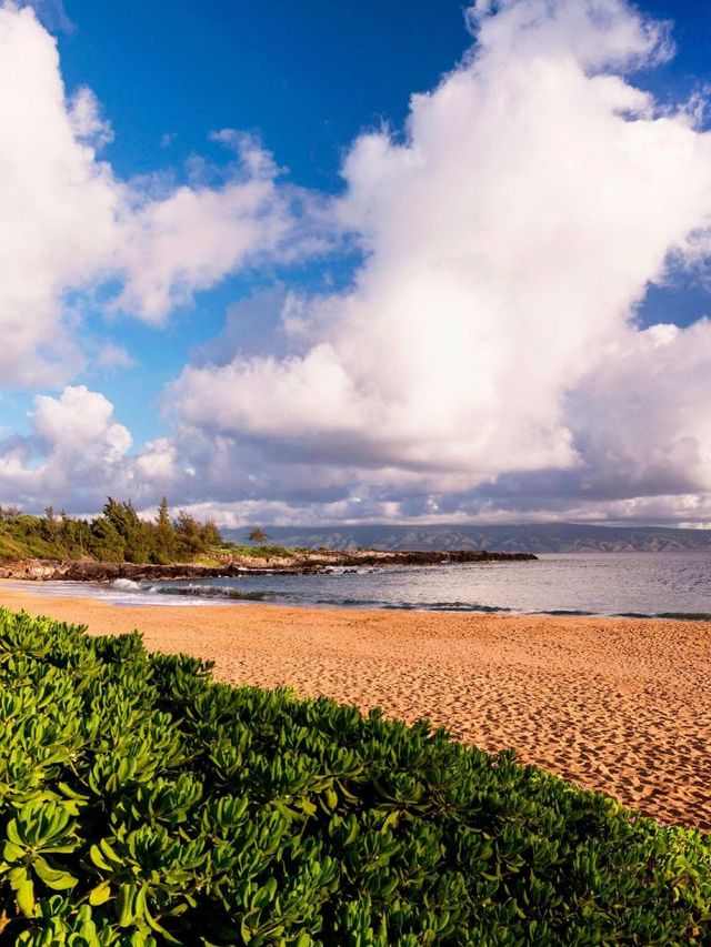 🌺 Maui Magic: Top Stays at The Ritz-Carlton Kapalua 🏨✨