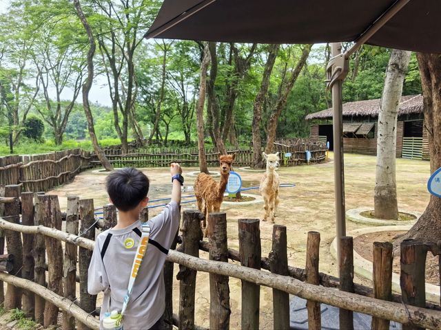 探秘白鶴湖嘻趣樂園：親子遊新寵，性價比之選