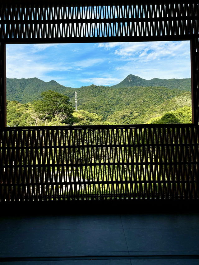 短暫逃離城市計劃邂逅坪山風景