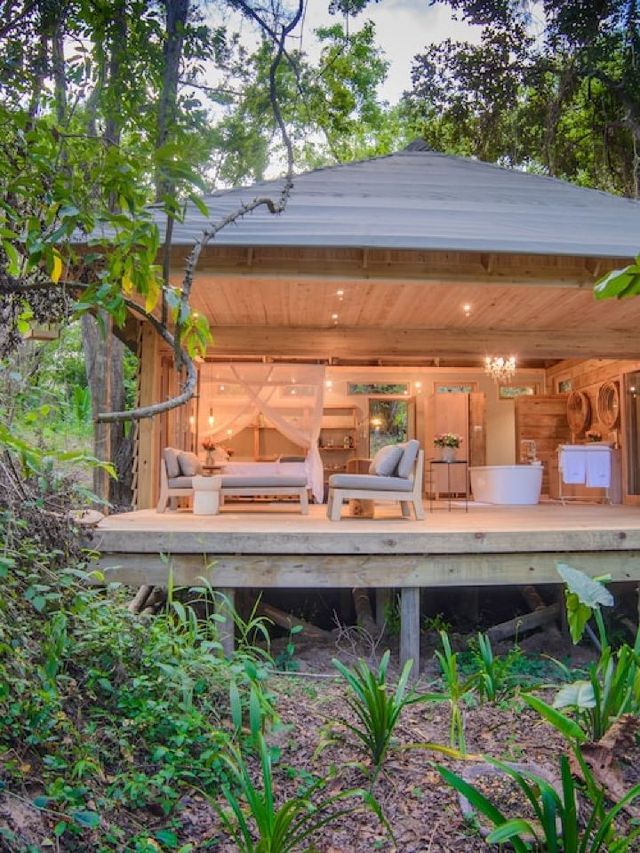 🌹✨ Hazyview's Hidden Gem: Summerfields Rose Retreat 🛌🌄
