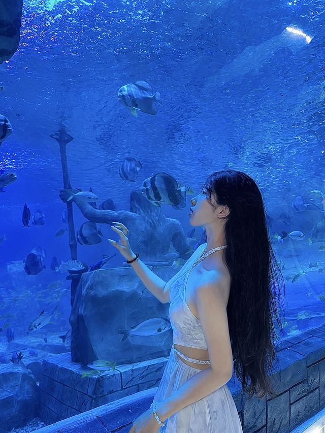 “闖入金魚夢境𓆡𓆝𓆟𓆜”東莞海洋館好好拍…