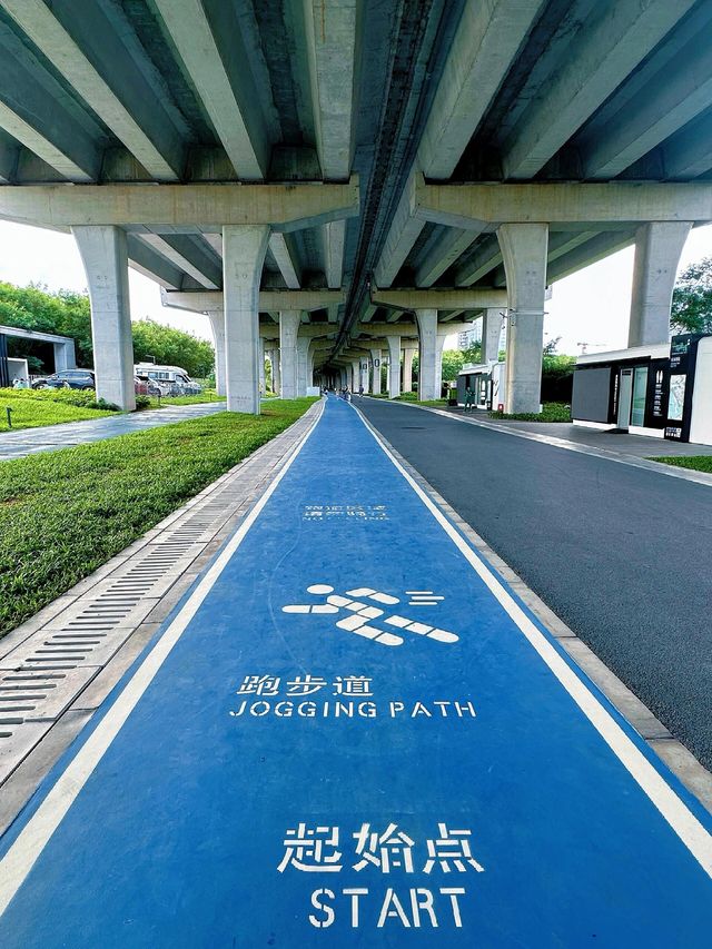 深圳寶藏綠道 | 山海連城前海灣段遊玩攻略