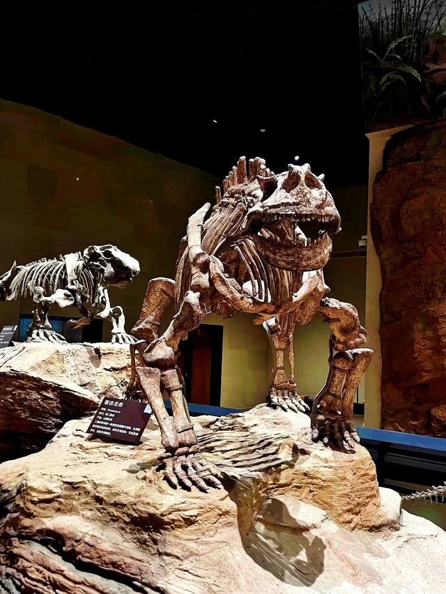 中國古動物館：穿越億年，邂逅地球遠古霸主！