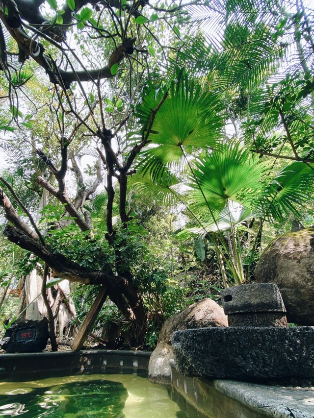 荷花溫泉：一場身心靈的治癒之旅