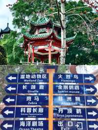 東莞!!你不宣傳這個4A景區真是糊塗啊
