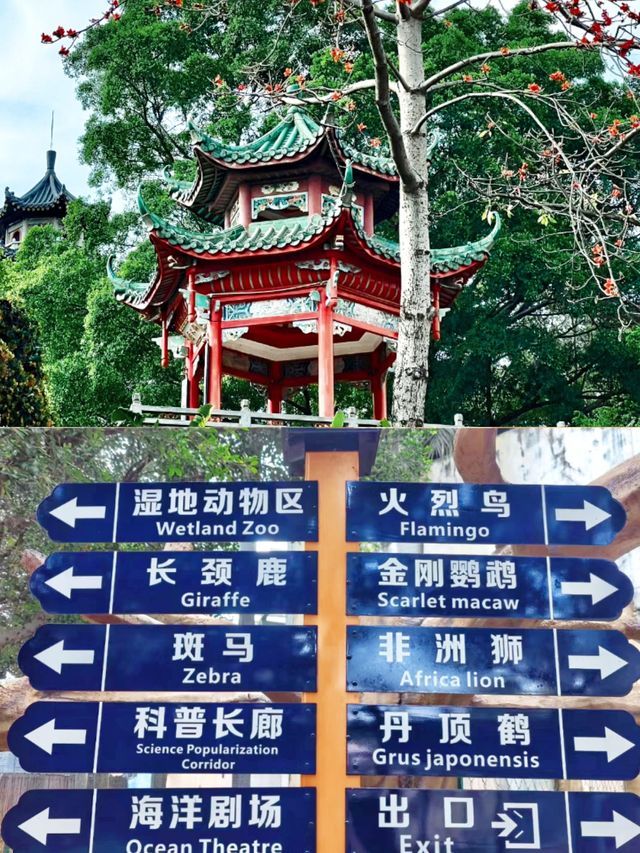東莞!!你不宣傳這個4A景區真是糊塗啊