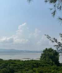 終於打卡了深圳最難約的公園！