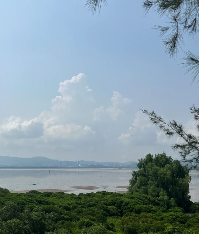 終於打卡了深圳最難約的公園！