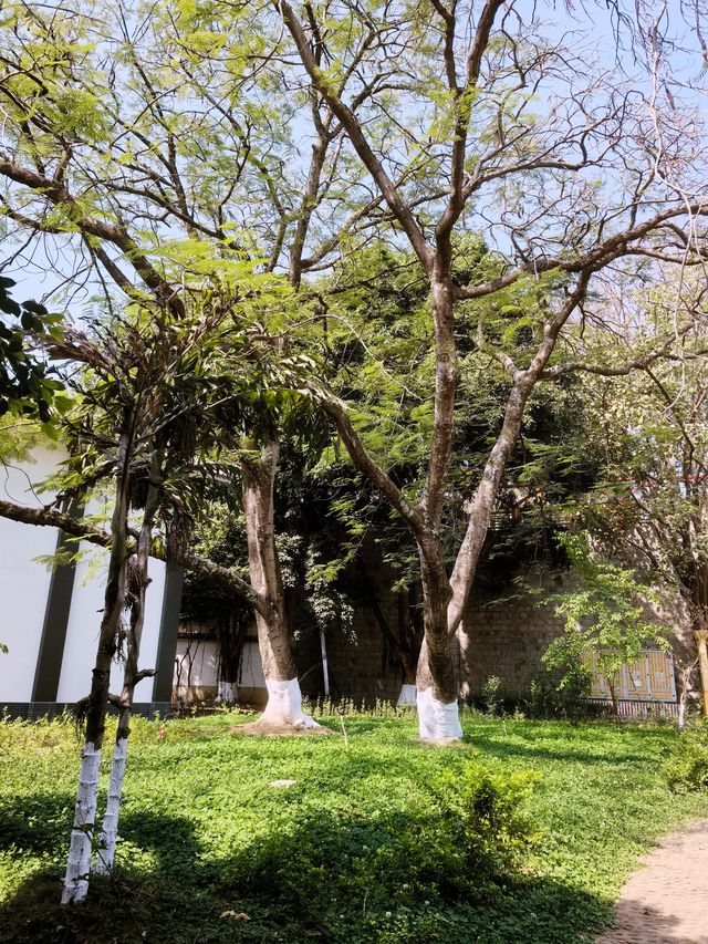 雲南臨滄雲縣，美麗的地方