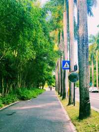 一面是湖，一面是塔，西麗湖環湖綠道美絕了！