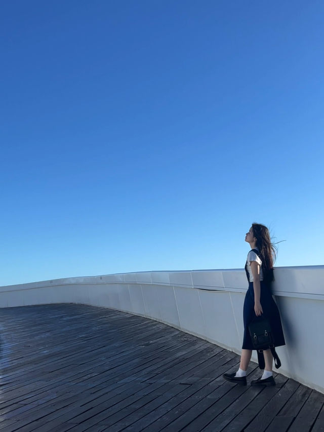 深圳夏日浪漫🎡摩天輪吹海風、看日落