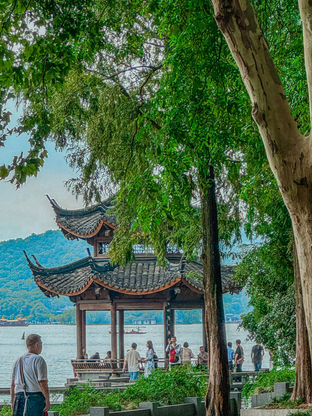 杭州週末，南山路區citywalk指南！