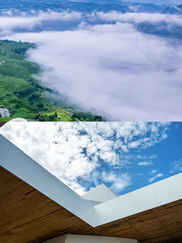 江浙滬雲端上的天空之城!又仙又野又避世~。