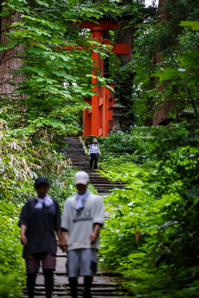 加茂水族館到羽黑山｜夏日陸奧千里行【十四】。
