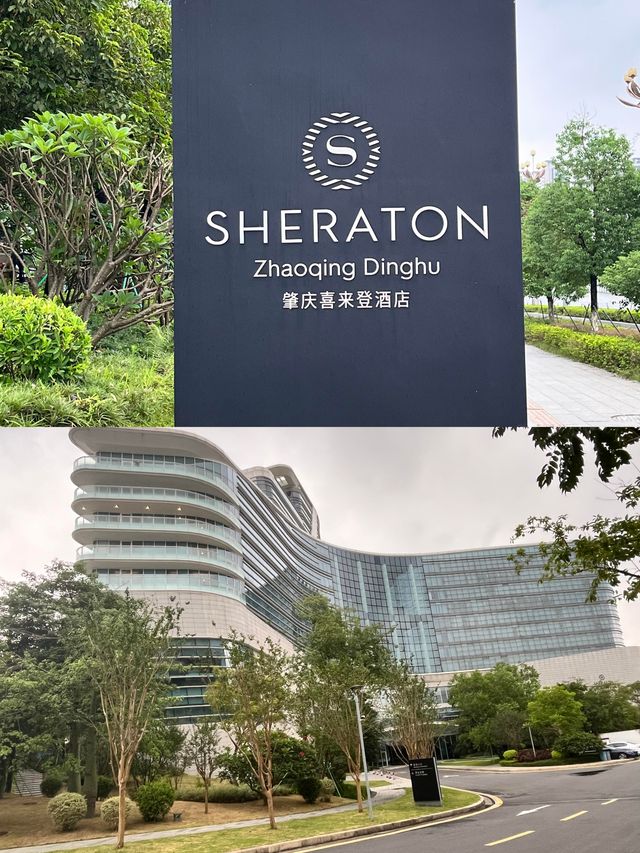 我宣布這是全肇慶性價比最高的酒店。