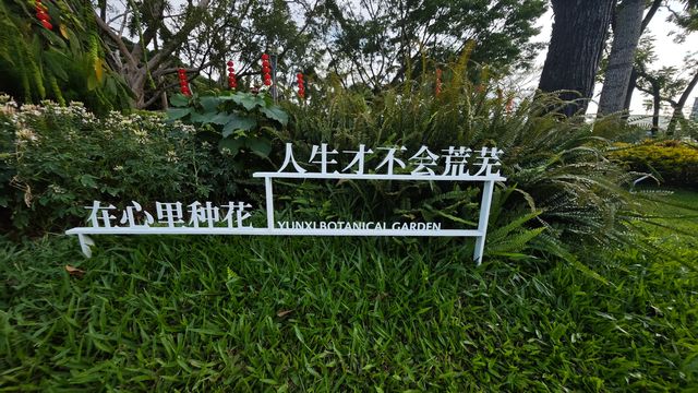 跟我來!一起欣賞新開放的雲溪植物園。