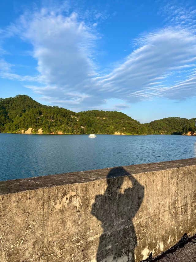 新打卡熱點！玉林也可以看稻田聽「海浪」……。