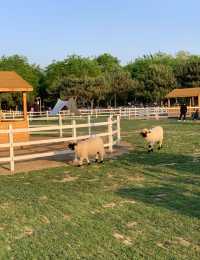 南海子的「有個牧場」位於北京大興南海子公園內。