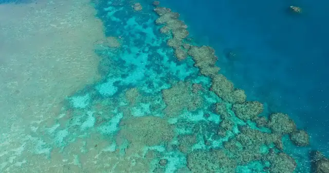 Great Barrier Reef: Underwater Garden, Natural Wonder.