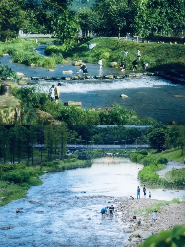 It's so comfortable here in Shenzhen, you can spend the whole day here. 