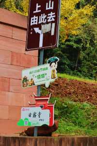 去不同的地方看萬千楓葉。。