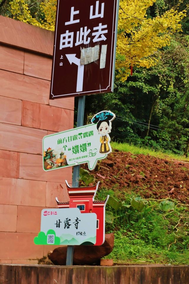 去不同的地方看萬千楓葉。。