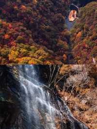 西安周邊！我找到了賞秋紅葉天花板。