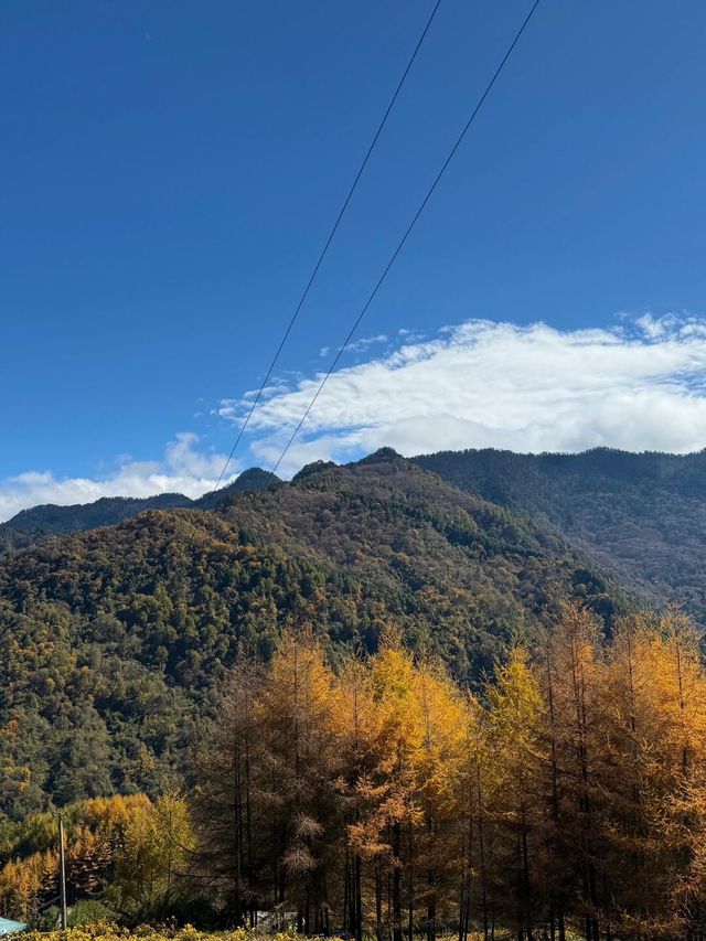 成都周邊徒步 賞秋小眾地方。