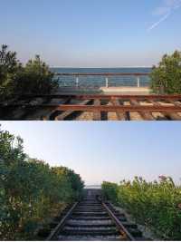 廈門小眾打卡地！元get海邊鐵軌。