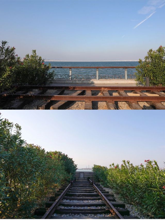 廈門小眾打卡地！元get海邊鐵軌。