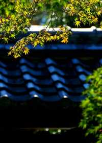 岐阜虎溪山永保寺。